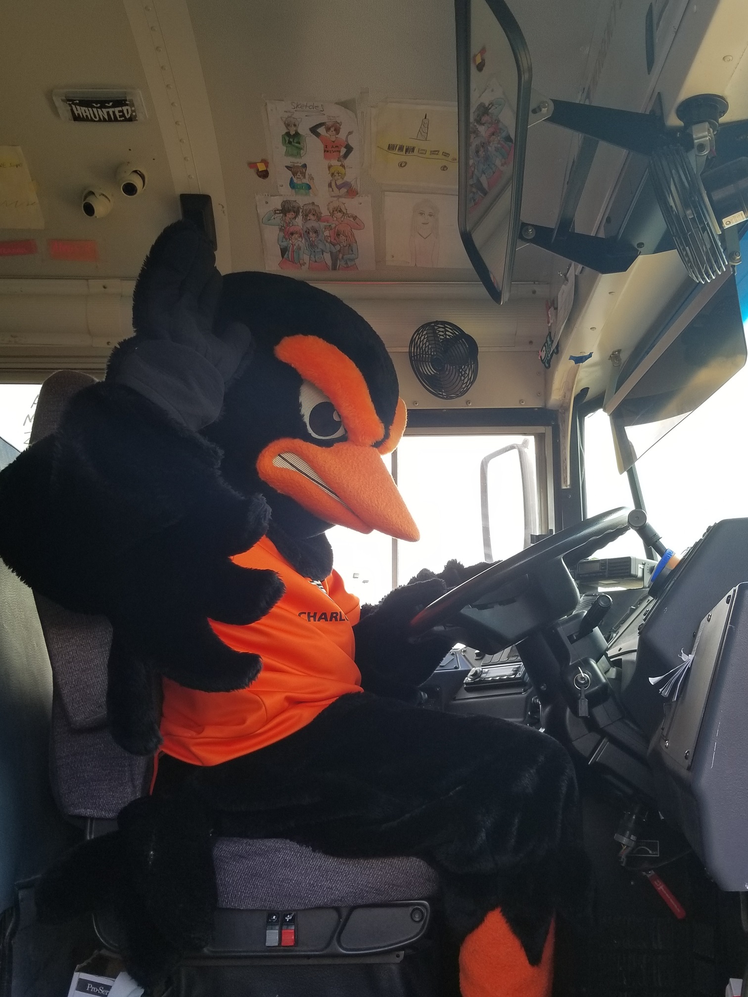 Oriole mascot as bus driver